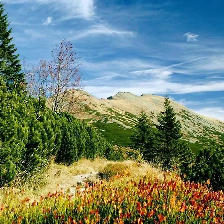 Apartment Horehronie *