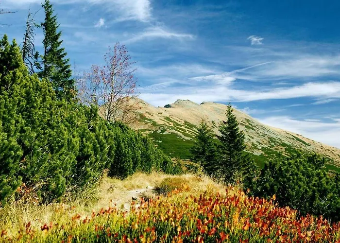 Apartment Horehronie *